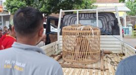 CREATOR: gd-jpeg v1.0 (using IJG JPEG v62), quality = 82?