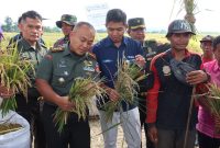 Dandim (kiri)tunjukkan hasil panen kepada Wakil Pemimpin Bulog Cabang Semarang.