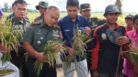 Dandim (kiri)tunjukkan hasil panen kepada Wakil Pemimpin Bulog Cabang Semarang.