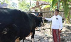berita-pilihan-foto