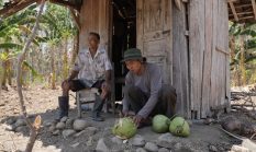 berita-pilihan-foto